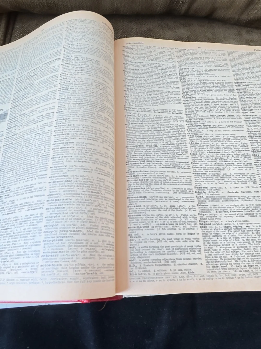 Webster's Encyclopedic Unabridged Dictionary - Red Cover 1981